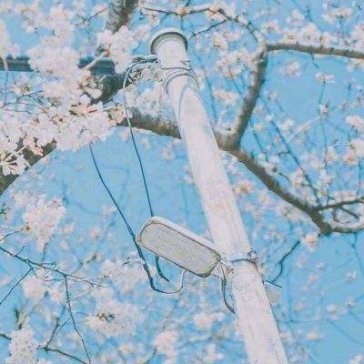 合乐888手机app下载