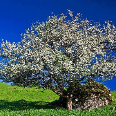 pg娱乐电子游戏手机app下载